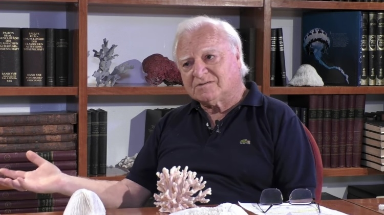 פרופ' יוסי לויה