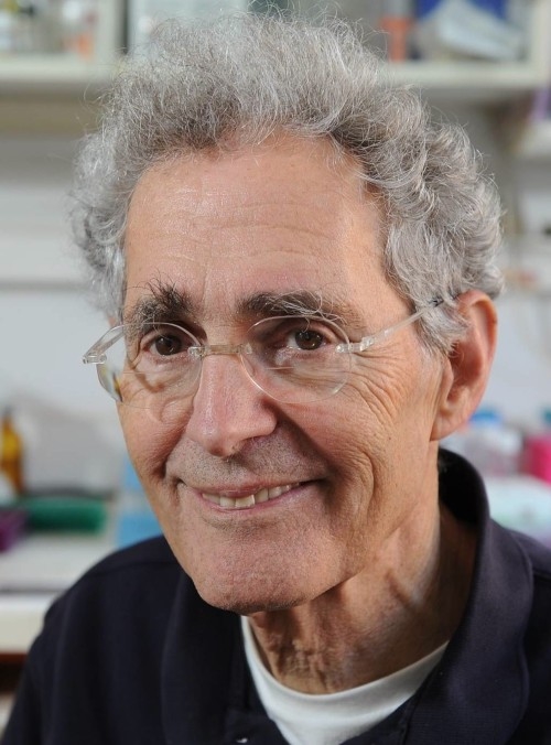 פרופ' חיים סידר