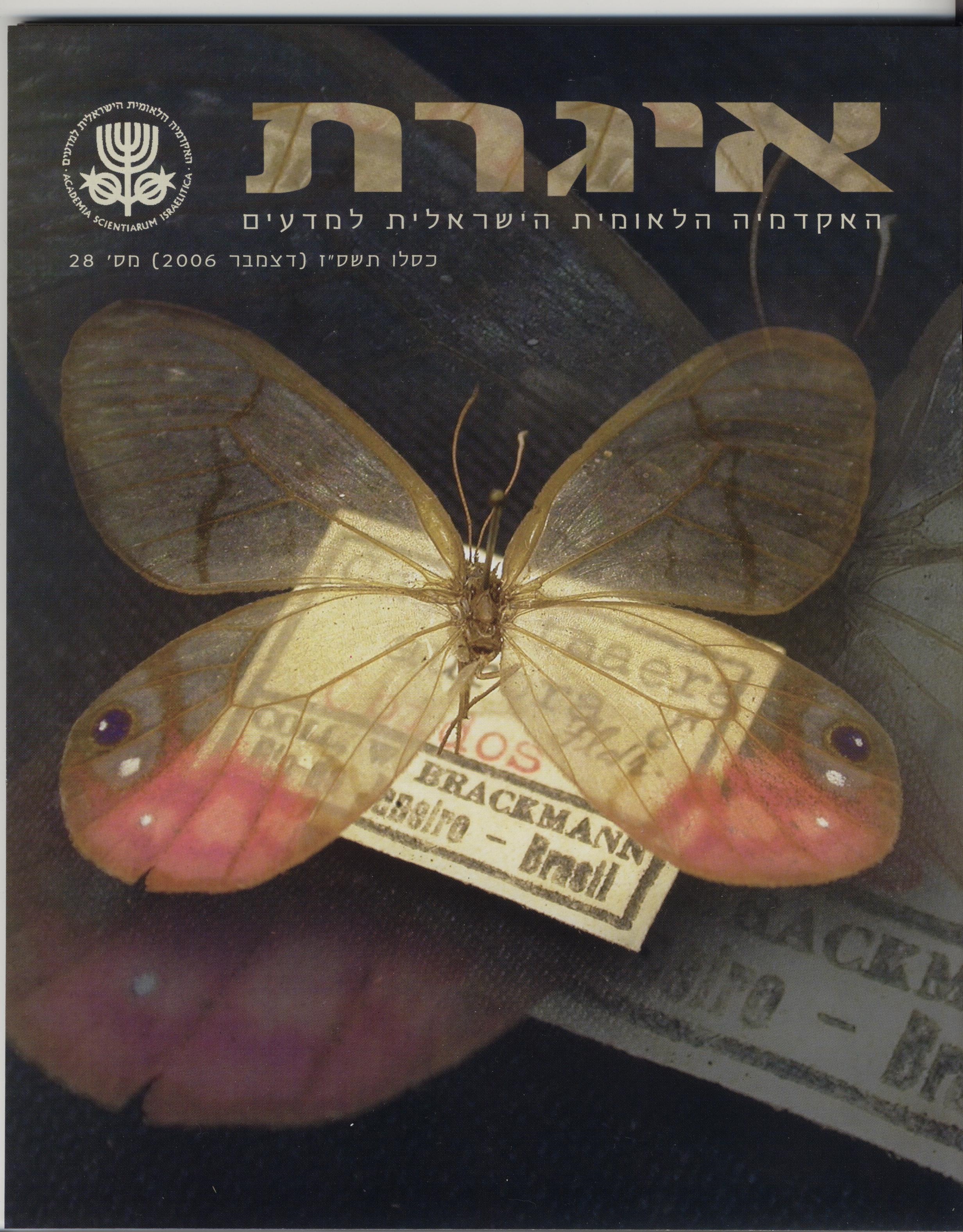issue no. 28
