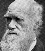 The Annual Darwin Memorial Lectures